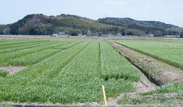 いおうじと地域との取り組み